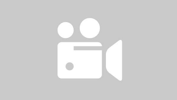 Wheat bracelet with tiger eye stone